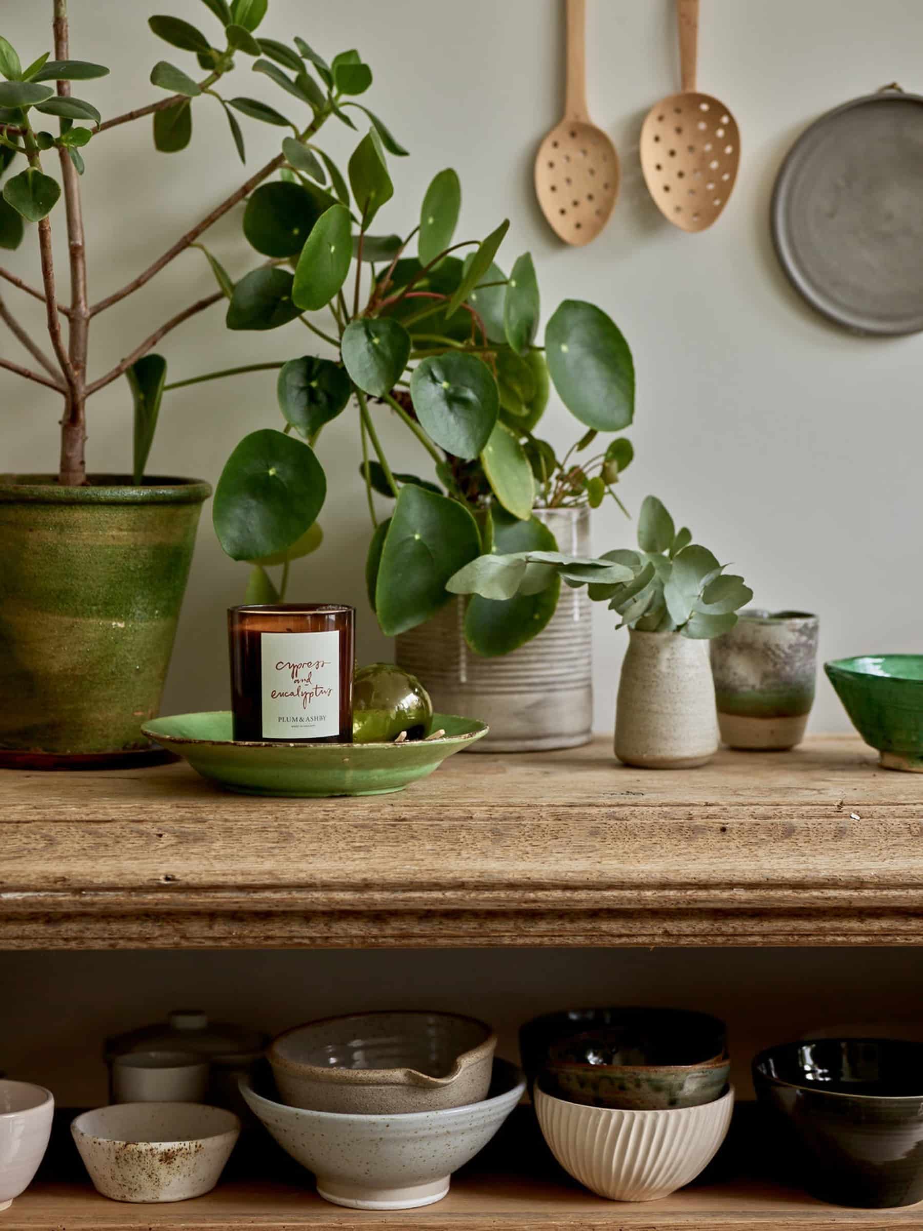 PLUM & ASHBY ILMKERTI CYPRESS & EUCALYPTUS