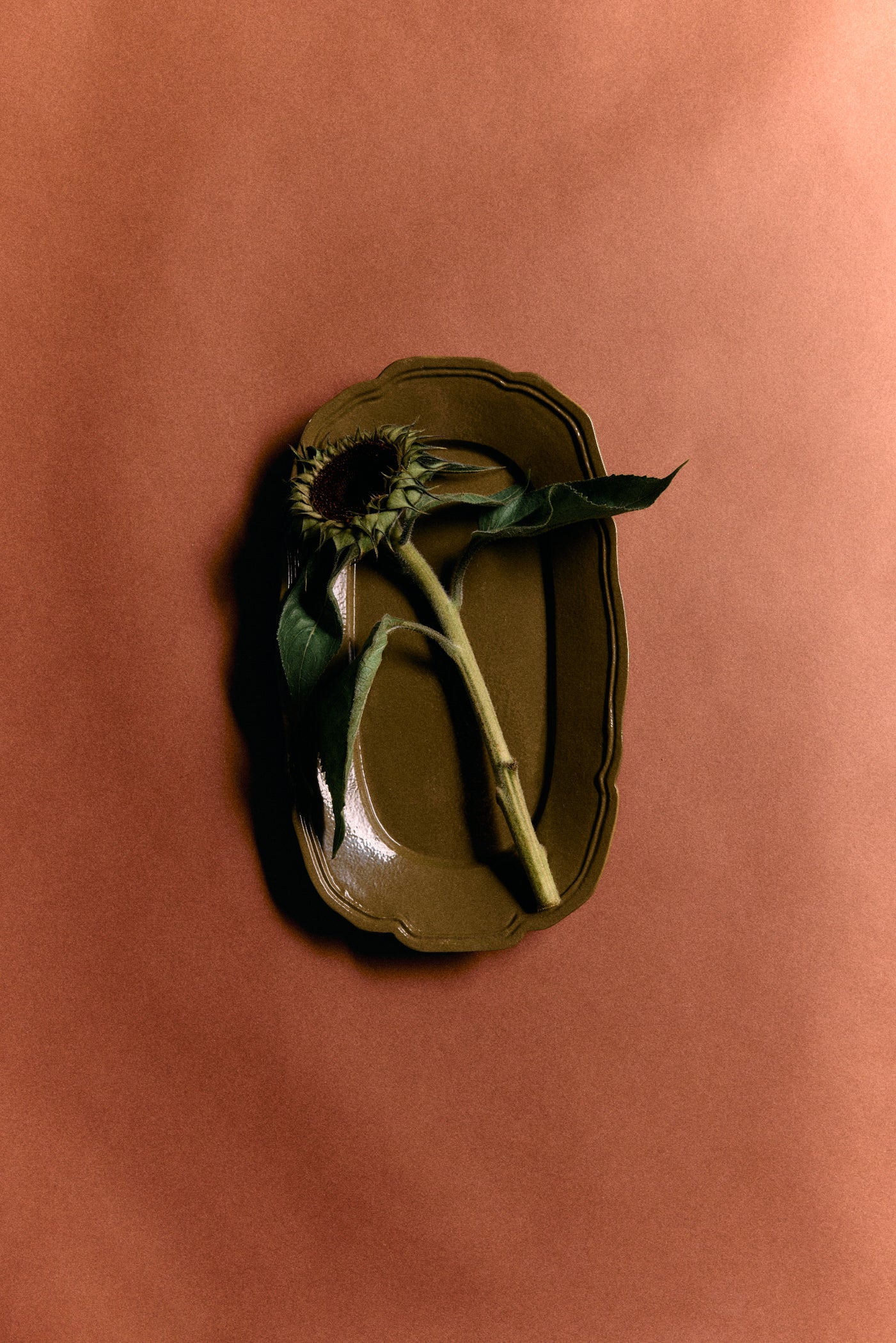 NEW CLASSICS BAKKI OLIVE